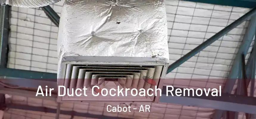 Air Duct Cockroach Removal Cabot - AR