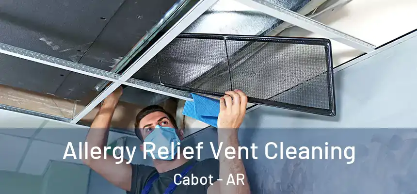  Allergy Relief Vent Cleaning Cabot - AR