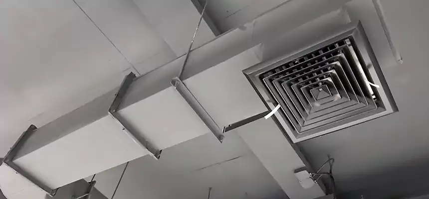 Our Pest Removal From Ducts Services in Cabot, AR