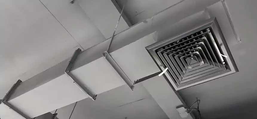 Our Rodent Droppings In Vents Services in Cabot, AR