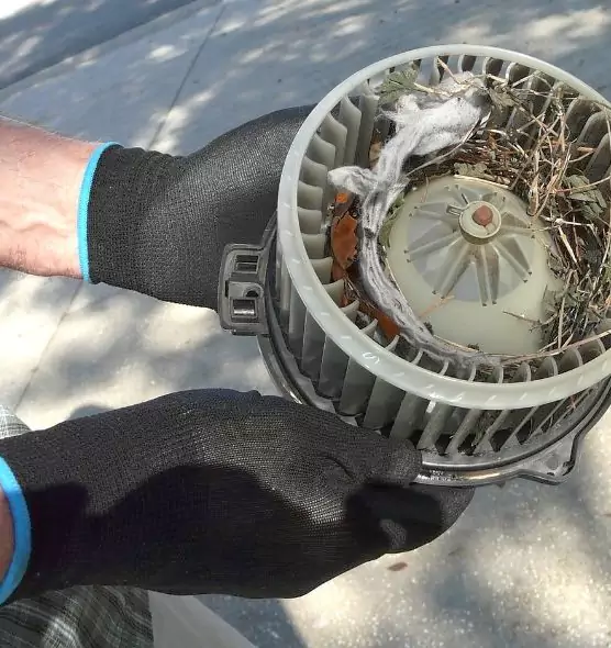 About Air Duct Rat Removal in Cabot, AR