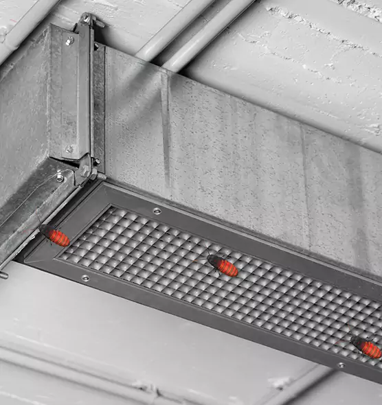 Affordable Insect Removal from Air Ducts in Cabot, AR